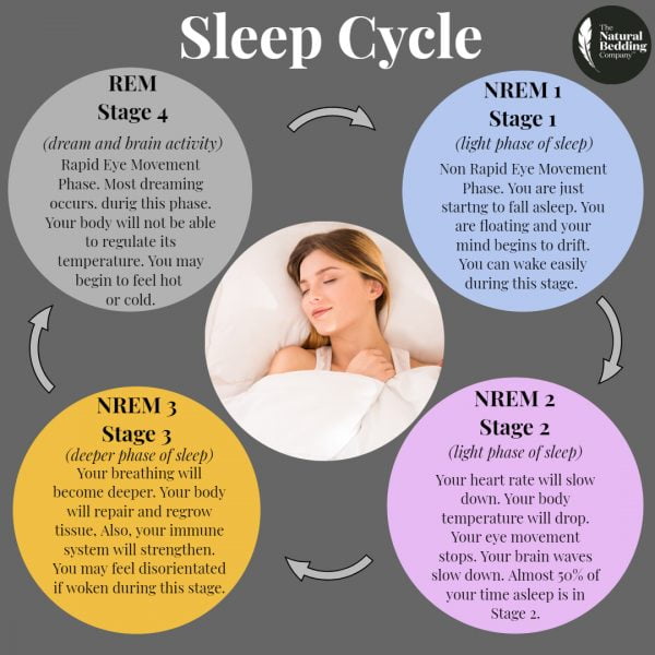 What Is A Sleep Cycle – The Natural Bedding Company